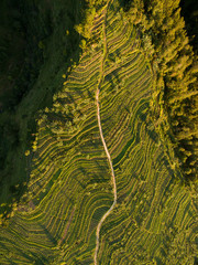 Aerial view field at indonesia