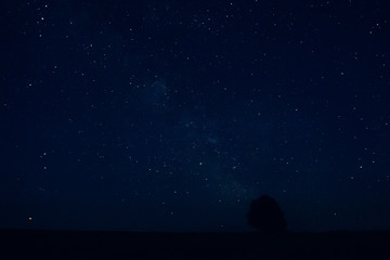 Fototapeta na wymiar Night landscape with stars of a tree and a milky way