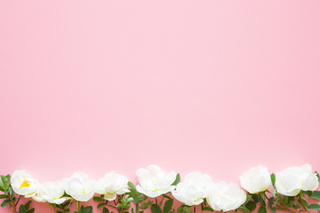 Fototapeta premium Beautiful, fresh white roses on pastel pink background. Soft light color. Greeting card. Mockup for positive ideas. Empty place for inspirational, emotional, sentimental text or quote.