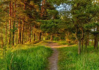 Summer sunset on the Bank of the quarry. The fading light of the sun.