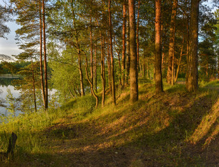 Summer sunset on the Bank of the quarry. The fading light of the sun.