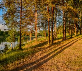 Fototapeta premium Summer sunset on the Bank of the quarry. The fading light of the sun.
