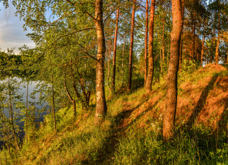 Summer sunset on the Bank of the quarry. The fading light of the sun.
