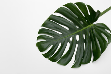 Naklejka na ściany i meble Tropical palm leaves. Flat lay, top view