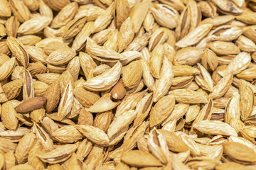 Background of shelled spanish almonds, seen from directly above and in full frame. Macro shot. unpeeled almonds