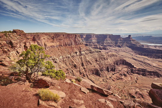 Vintage toned picturesque landscape in the Dead Horse Point State Park, Utah, USA.