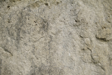 Rock. Limestone. Texture