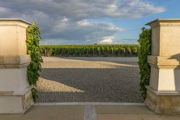 An entrance with two poles overlooking a vineyard