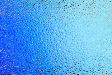 Close up of a water drops on a white  and blue gradient background, covered with drops of water -condensation.