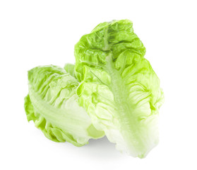 chinese cabbage isolated on white background