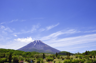 富士山