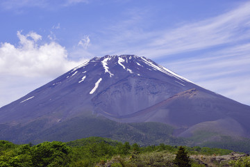 Fototapeta premium 富士山