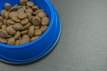 Dog food in a blue dog bowl