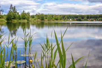 forest lake in summer, cloudy sky