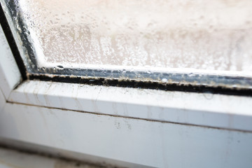 mold on a foggy plastic window of white color. Close-up