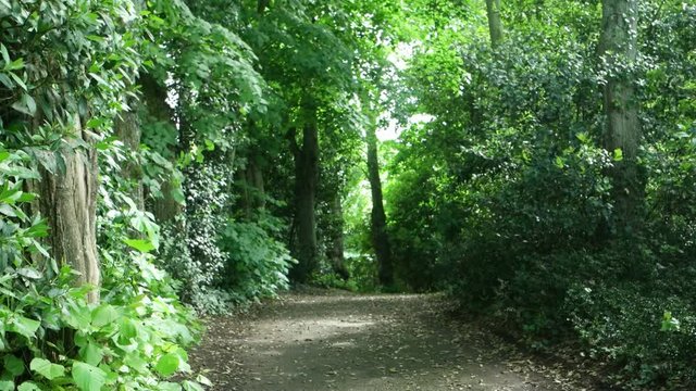 Path in the park Corbiere, France, Saint Malo