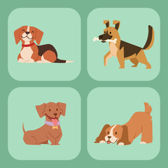 Fototapeta premium Puppy cute playing dogs characters funny purebred comic happy mammal doggy breed vector illustration.