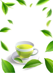 green tea cup brochure, banner,  leaves vector.