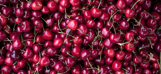  Cherries from the home garden