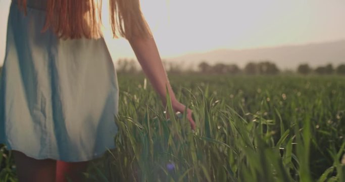 Young beautiful caucasian girl with healthy long hair going through the summer or spring field in sunset 4k