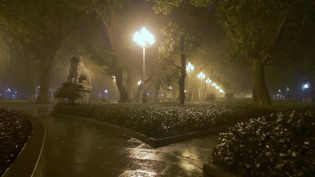 Camera moving through misty night city park
