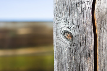 Fototapeta premium Background old planks with knots and cracks