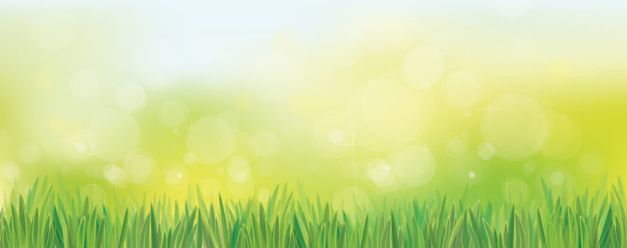 Vector  nature background, blue sky and green grass. Bokeh nature background.