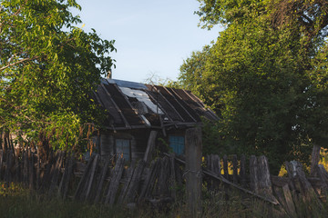 Summer time in the village of Belarus, Mirnoe