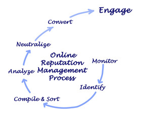 Online Reputation Management Process
