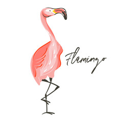 Hand drawn vector abstract cartoon summer time graphic decoration illustrations art with exotic tropical pink flamingo bird isolated on white background