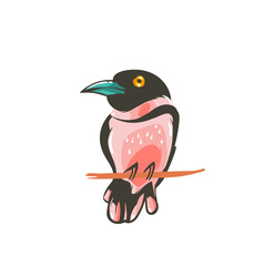 Hand drawn vector abstract cartoon summer time graphic decoration illustrations art with exotic tropical bird isolated on white background