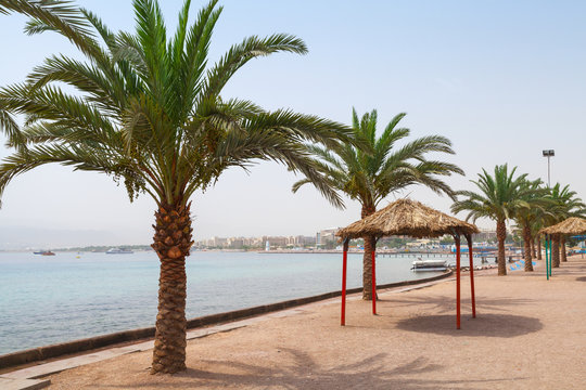 Aqaba beach view with palm trees