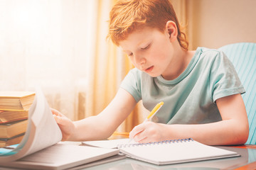 Home schooling, red-haired boy learns writing down in a workbook