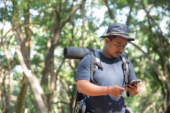 Man Using Mobile Phone In The Forest