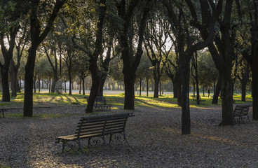 Villa Borghese, public gardens