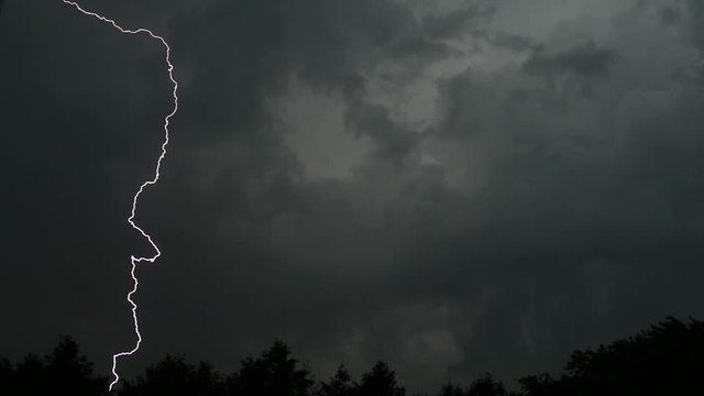 Storm and shower with lightning. Heavy rain with black clouds and wind and a hurricane. The rainy season in the jungle and forest thickets falls on trees.