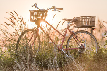 Fototapeta na wymiar bicycle at sunset