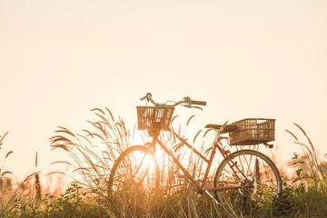  bicycle at sunset