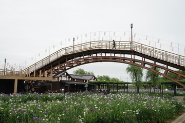 Obraz premium あやめ園