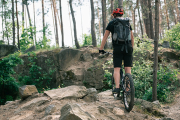 Obraz premium rear view of male extreme cyclist in protective helmet riding on bmx in forest