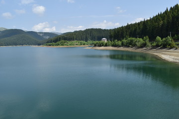 Beautiful life nature