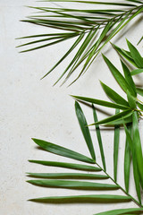 Creative minimal summer idea. Green leaf branches. Palm leaves. Tropical exotic background with empty space for text. Concept creative art. Flat lay, top view.