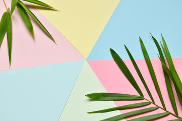Fototapeta na wymiar Creative minimal summer idea. Green leaf branches. Palm leaves on pastel colors. Tropical exotic background with empty space for text. Concept creative art. Flat lay, top view.