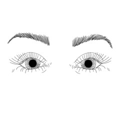 Fototapeta premium Female Eyes and Eyebrows. Beauty Industry Design Elements Vector Illustration. Idea for business visit card, typography vector.