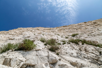 A low angle view of chalk cliffs near Brighton, on a sunny summer's day