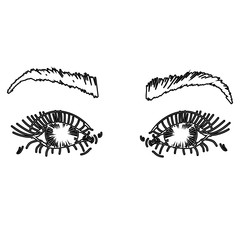 Female Eyes and Eyebrows. Beauty Industry Design Elements Vector Illustration. Idea for business visit card, typography vector.