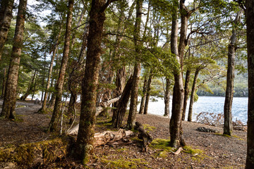 Southland, NEW ZEALAND - May 3, 2016: North Mavora Lake,Fiordland National Park, New Zealand.