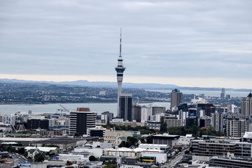 AUCKLAND, NEW ZEALAND - April  29, 2016: Skytower view in Auckland, New Zealand