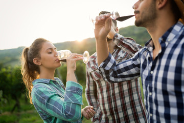 Wine grower and people in vineyard