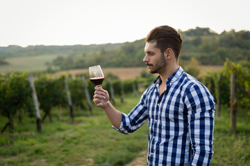 Winegrower tasting wine in vineyard